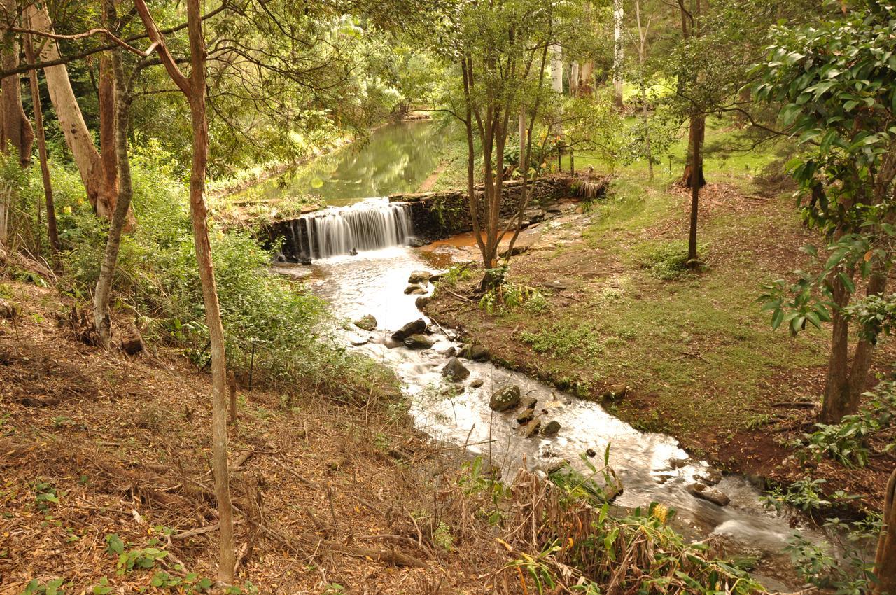 Escarpment Retreat & Day Spa For Couples Mount Tamborine Exterior foto