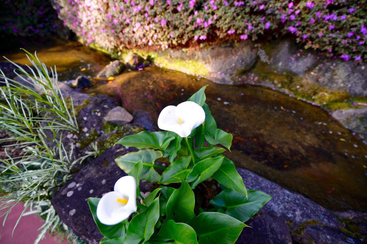 Escarpment Retreat & Day Spa For Couples Mount Tamborine Exterior foto